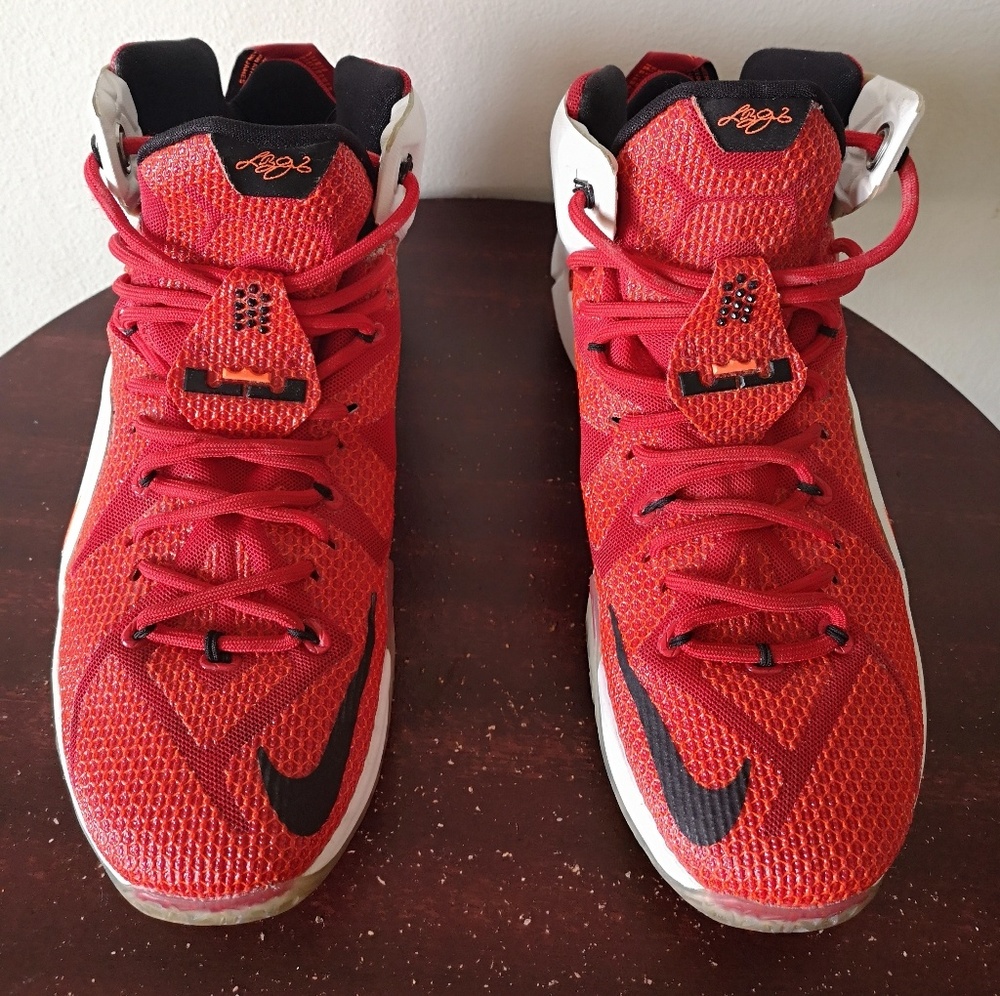 NIKE LEBRON JAMES 12